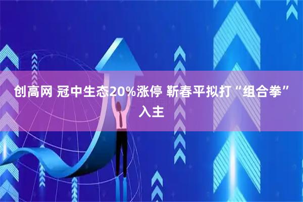 创高网 冠中生态20%涨停 靳春平拟打“组合拳”入主