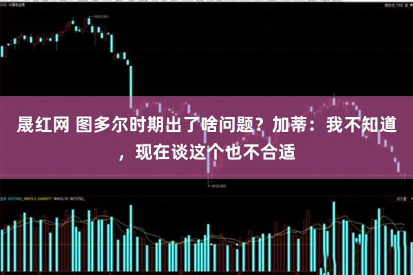 晟红网 图多尔时期出了啥问题?加蒂:我不知道,现在谈这个也不合适