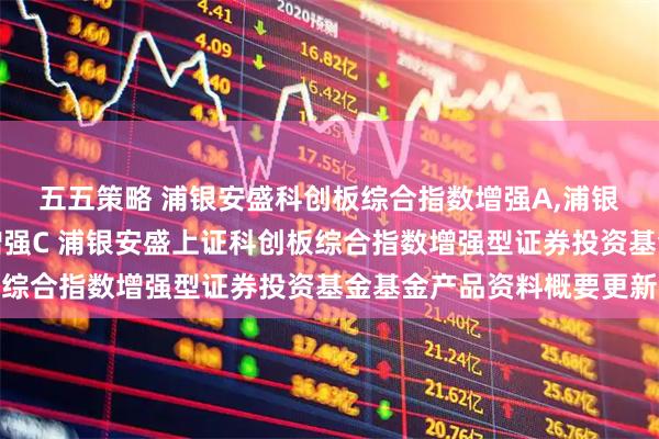 五五策略 浦银安盛科创板综合指数增强A,浦银安盛科创板综合指数增强C 浦银安盛上证科创板综合指数增强型证券投资基金基金产品资料概要更新