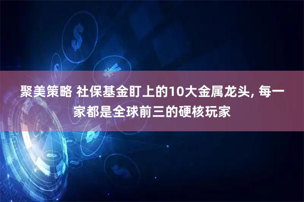 聚美策略 社保基金盯上的10大金属龙头, 每一家都是全球前三的硬核玩家