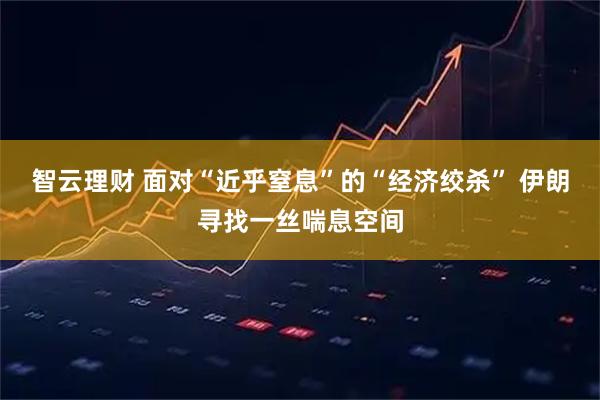 智云理财 面对“近乎窒息”的“经济绞杀” 伊朗寻找一丝喘息空间